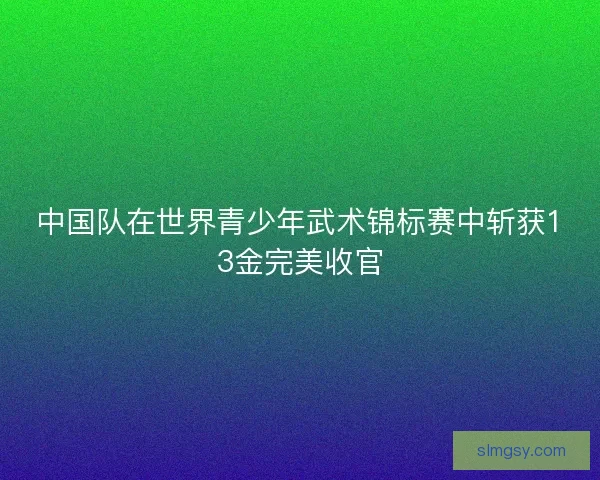 中国队在世界青少年武术锦标赛中斩获13金完美收官